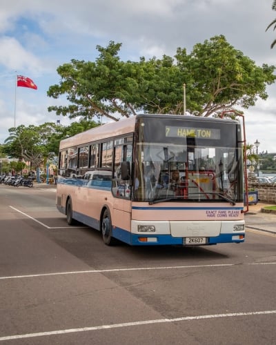 Bermuda Bus