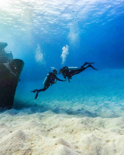 A couple is holding hands under water by a shipwreck