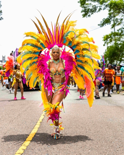 A woman is standing in the road in a colourful feathery costume.