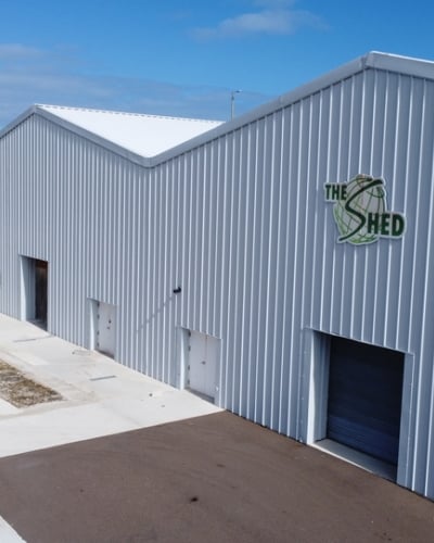 The Shed