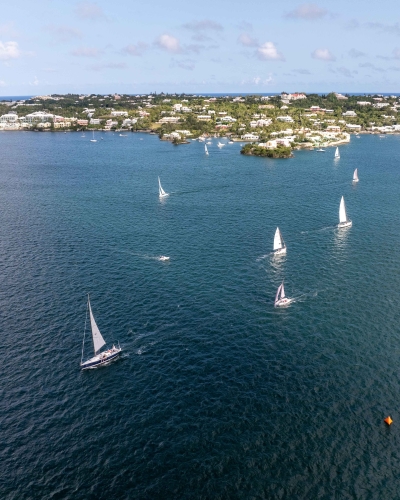 A group of boats are sailing on the hamilton harbour.