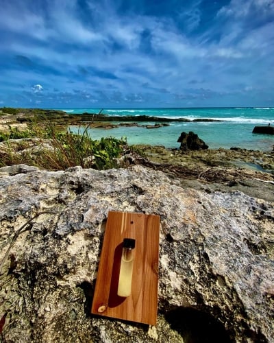 A close up of Bermuda Shark Oil by the rocks