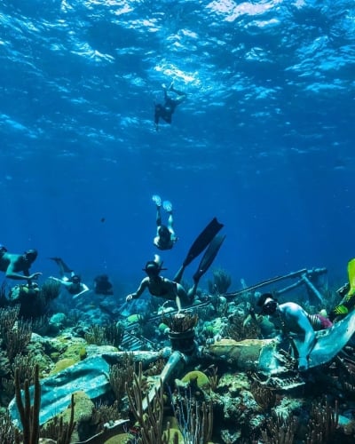 People are diving under water. 