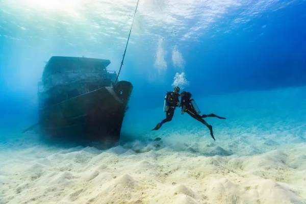 People scuba diving to see a sunken ship