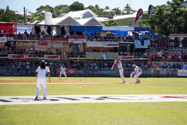 People playing cricket