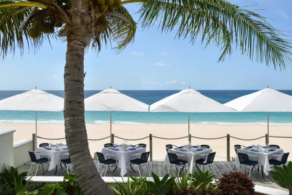 An outdoor beachside patio under a palm tree in Bermuda