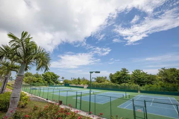 A palm-tree lined tennis court at a Bermuda tennis court