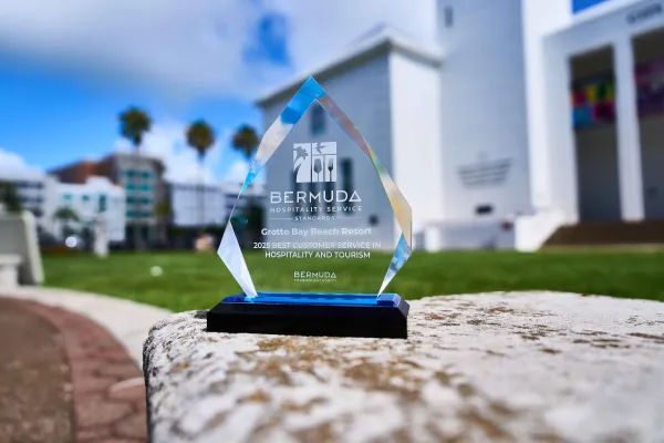 A BHSSA Award perched on a rock