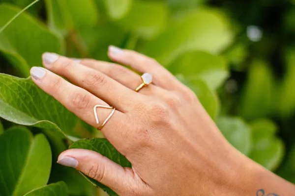 A hand displaying jewelled rings, in front of a leafy bush