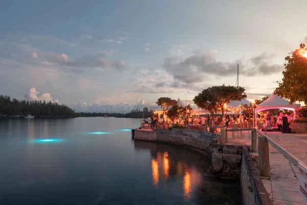 A waterside private party is happening with live music by still water.