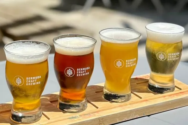 A close up of a flute of beer