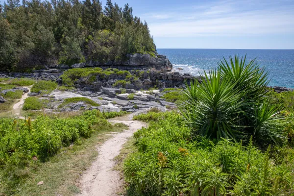 Spittal Pond Nature Reserve – Spittal Pond Trail