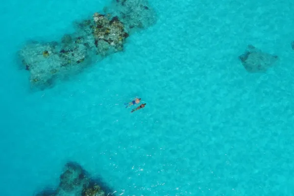 aerial shot of a pair of snorkelers