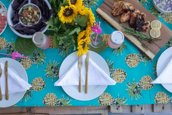 Place settings for a picnic