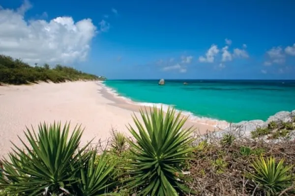 Palms along a white sand beach with turquoise waters 