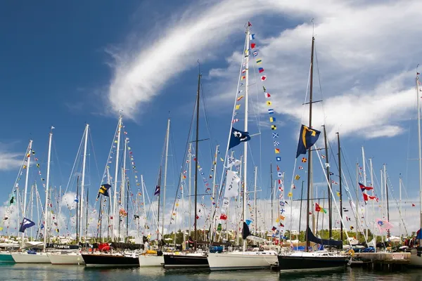 Newport sailboats docked