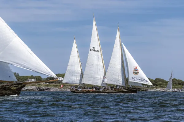 Newport to Bermuda sailboat race