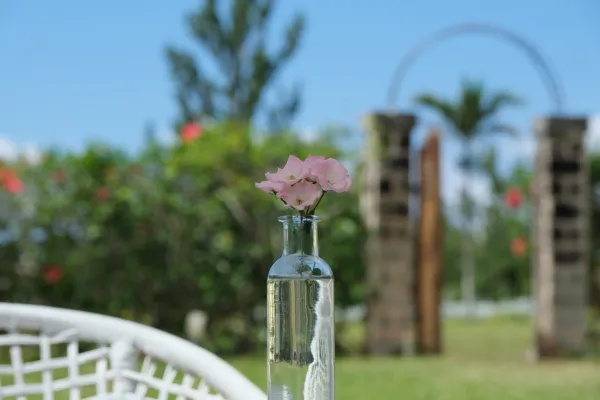 Sunday Morning Crepes & Poffertjes