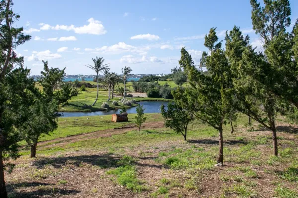Riddell's Bay Gardens and Nature Reserve – View Of Riddells Bay