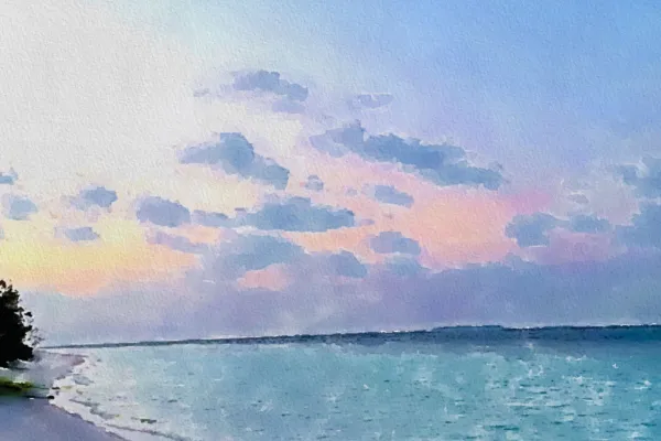 Island Inspired Paint N Sip