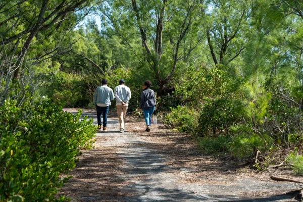 Wild Herbs N Plants of Bermuda – People Walking On Wild Herb Tour