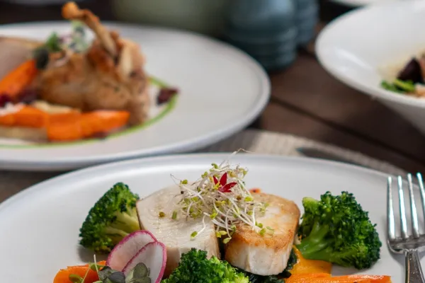 The Cloud – The Cloud - Dinner