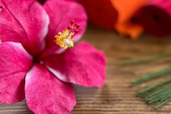 Paper Flower Making With Christina Wilson