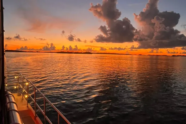 Thanksgiving Afternoon Cruise