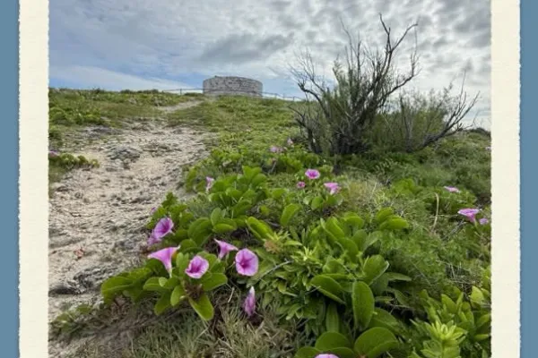 Bermuda Byways Tours – Bermuda Byways Tours
