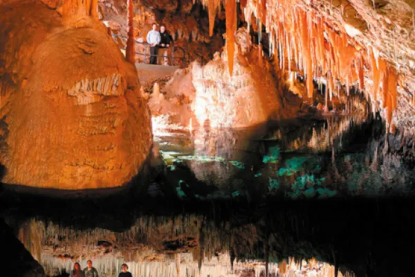 Bermuda Island Tours & More – Transport