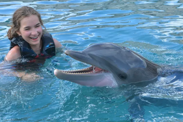 Dolphin Quest Bermuda – Dolphin Quest Bermuda