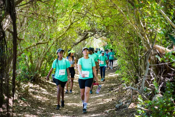 Convex End-to-End – ETE Walkers Railway Trail