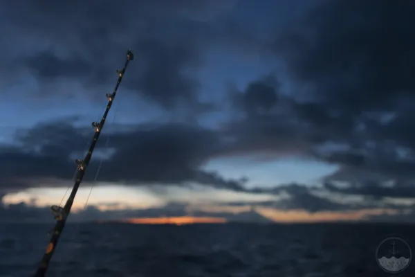 Early Bird Charters – EBC4