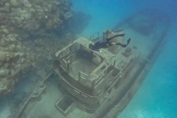 Freediving Bermuda – The Forceful