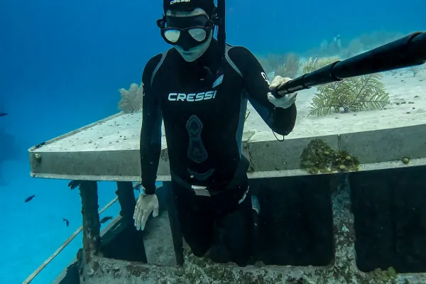 Freediving Bermuda – The Finish