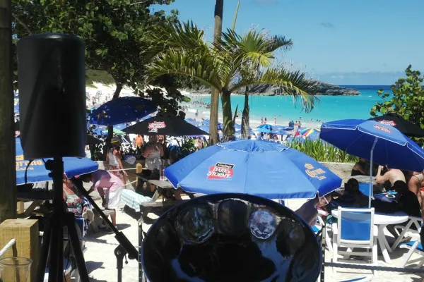 De Onion Patch Crew – Beach