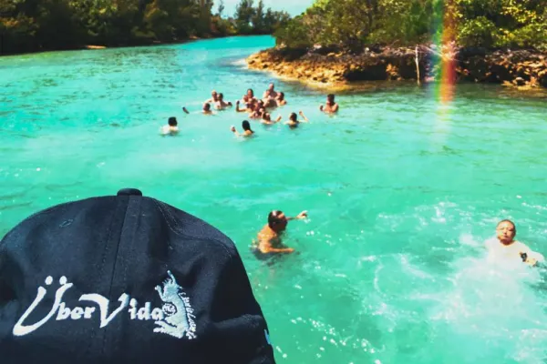 Last Dip: Labour Day Celebration! 4-Hour Swimming Cruise