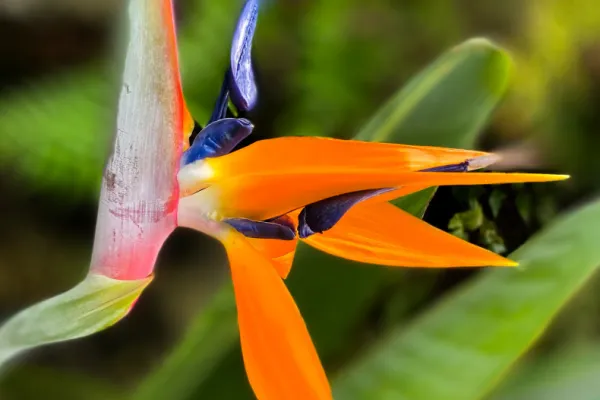 Slow Down & Notice | A Mindful Photography Walk, Share & Sip