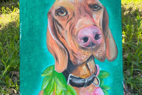 Pet Portraits @ The Botanist