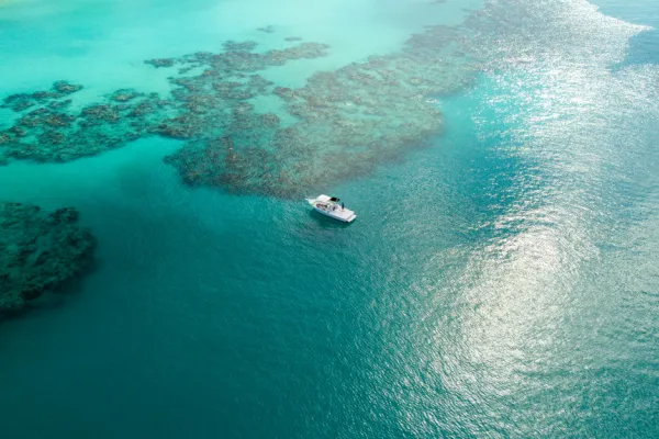 2-Stop Snorkel & Shipwreck Tour