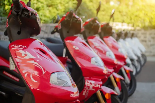 Oleander Cycles – Paget – Oleander Cycles