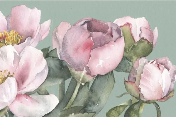 Watercolours In The Rose Garden