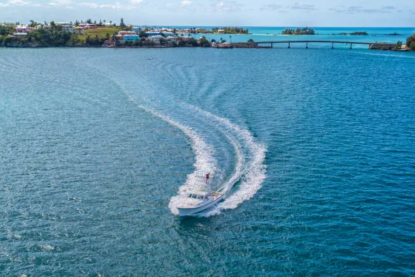 Sea Wolfe Sportfishing – Sea Wolfe Sportfishing