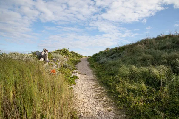Cooper's Island Nature Reserve – Cooper's Island Path