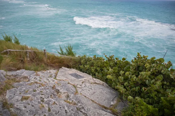 Spittal Pond Nature Reserve – Spittal Pond Nature Reserve