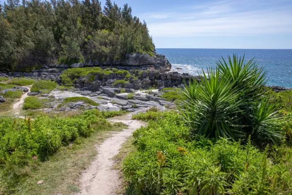 Spittal Pond Nature Reserve – Spittal Pond Trail
