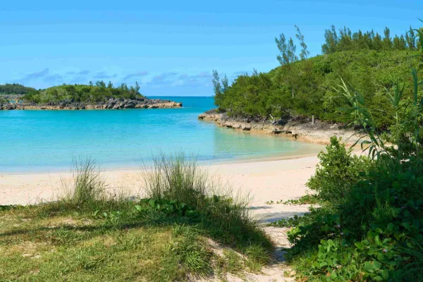 Clearwater Beach & Turtle Bay – Turtle Bay