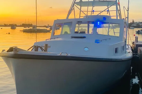 Sea Wolfe Sportfishing – 36’ Bruno