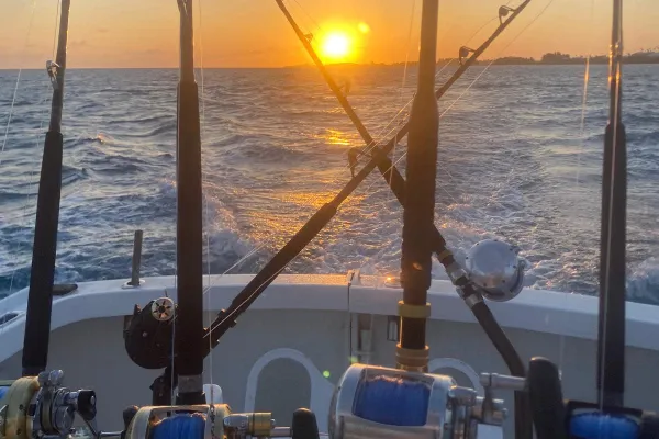 Sea Wolfe Sportfishing – Tight Lines!