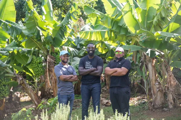 Windybank Farm – WindyBank Farm